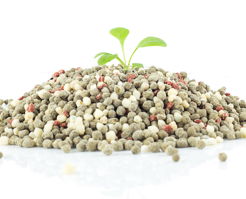 Chemical fertilizer for plant on white background